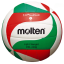 balón voleibol 1700